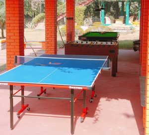 Party Ideas for Monsoon