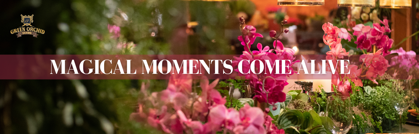 Best Resort in Gurgaon